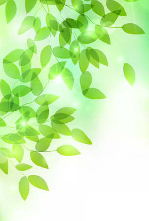 fresh green leaves landscape backgroundのイラスト素材