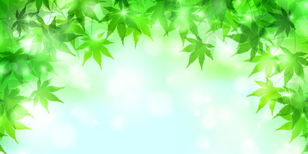 fresh green maple leaf backgroundのイラスト素材