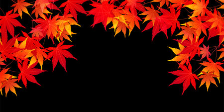 Autumn Leaves Maple Tree Autumn Backgroundのイラスト素材