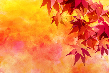Autumn Leaves Maple Tree Autumn Backgroundのイラスト素材