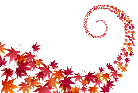 Autumn Leaves Maple Tree Autumn Backgroundのイラスト素材