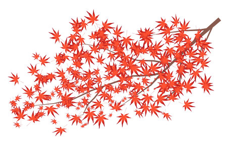 Autumn leaves Maple leaves Autumn Iconのイラスト素材