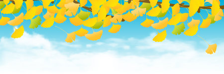 Autumn Color Ginkgo Leaves Backgroundのイラスト素材
