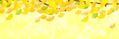 Autumn Color Ginkgo Leaves Backgroundのイラスト素材