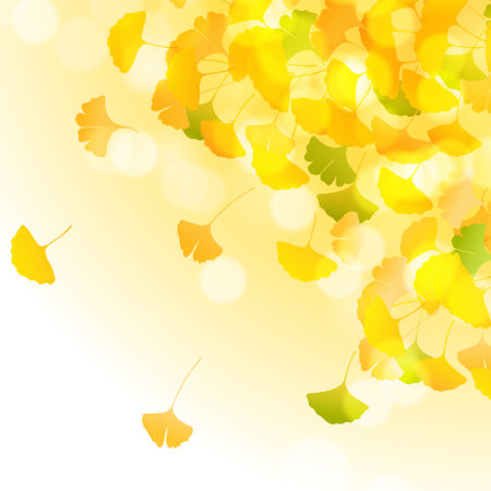 Autumn Color Ginkgo Leaves Backgroundのイラスト素材