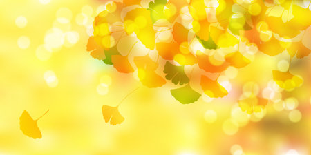 Autumn Leaves Ginkgo Autumn Backgroundのイラスト素材