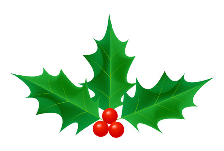 Christmas holly leaf winter iconのイラスト素材