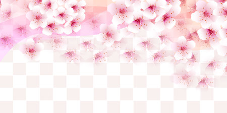cherry blossom spring watercolor backgroundのイラスト素材