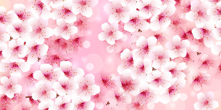 cherry blossom spring watercolor backgroundのイラスト素材