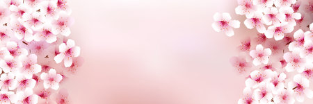 cherry blossom spring watercolor backgroundのイラスト素材