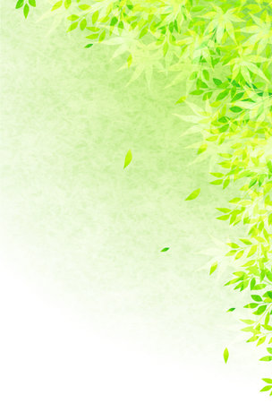Maple Tree Fresh Green Hot Summer Backgroundのイラスト素材