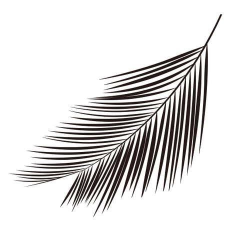 palm silhouette leaf plant iconのイラスト素材