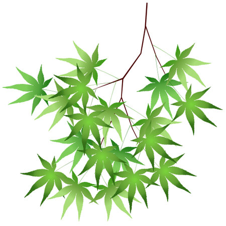 Maple leaves  hot weather  iconのイラスト素材