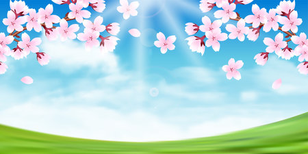cherry blossom spring watercolor backgroundのイラスト素材