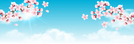 Cherry Blossoms Japanese Pattern Watercolor Backgroundのイラスト素材