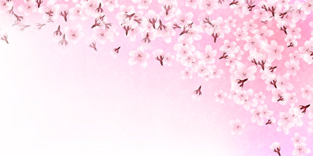 Cherry Blossoms Japanese Pattern Watercolor Backgroundのイラスト素材