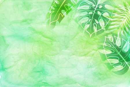 fresh green leaves houseplants backgroundのイラスト素材