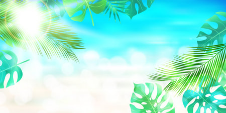 fresh green leaves houseplants backgroundのイラスト素材
