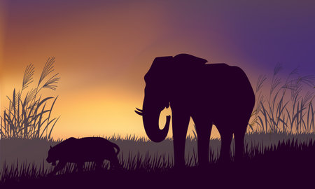 Tiger and elephant silhouette animal an African safari landscape scene vector illustration nature background.のイラスト素材