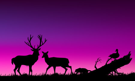Silhouette deer in forest, mountain, trees, nature landscape on summer vector illustration...