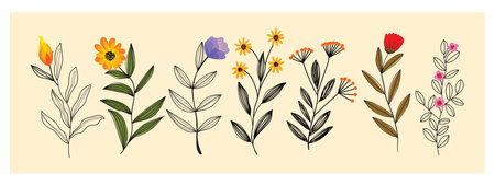 Set of floral, flowers and leaves plants hand drawing vetor illustration. TRopical abstract nature template design for fashion, fabric, textile, art print and cards.のイラスト素材
