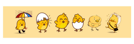 Set of chicken, rooster, hen, poultry farm animal set collection hand drawn vector illustration....