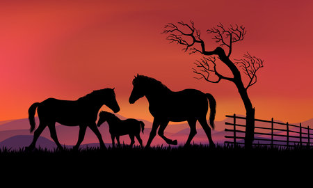 Horses silhouette in grass, meadow over sunset sky in forest landscape vector illustration background.のイラスト素材