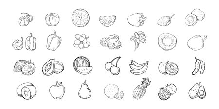 Set of different sketch fruits hand drawn vector illustration. doodle outline isolated on white background collection.のイラスト素材