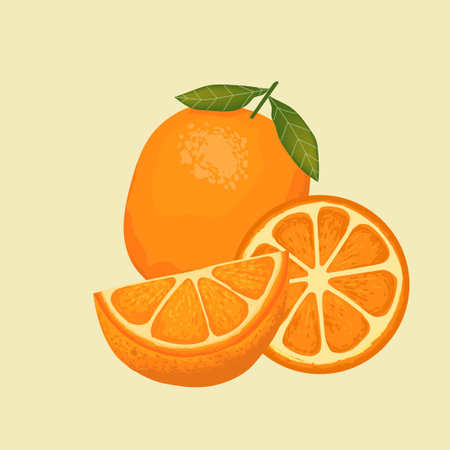 Fresh orange, lemon, tangerine, mandarin fruits vector background illustration.のイラスト素材