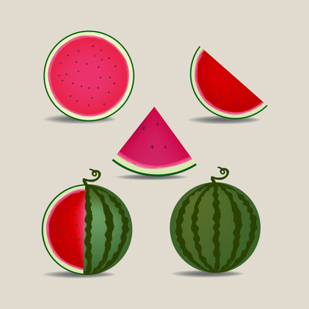 Slice of watermelon hand drawn vector illustration. Element, cute fruits design concept.のイラスト素材