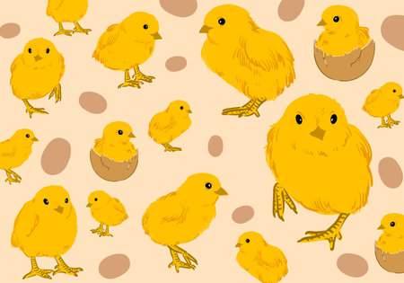 Cute baby chicks and hen hand drawn pattern vector illustration. Design for poster, cards, banner, wallpaper, textile.のイラスト素材