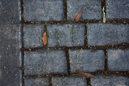 gray brick floor with tree leaves