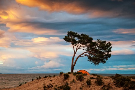 Colorful sunset sky with tree and tent near the waterの写真素材