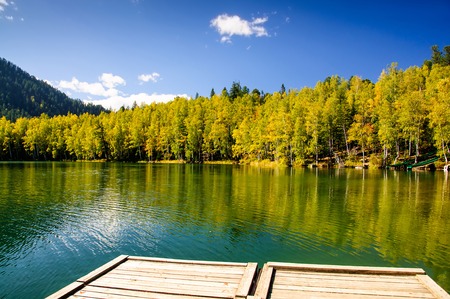 mountain autumn green siberia lake with reflection, wooden pier and birchの写真素材