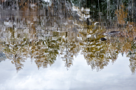 Yellow and green tones reflect in water on an early morning fall day