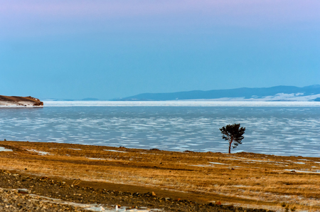 Lonely tree is staying near frozen lake and road with mountain backgroundの写真素材