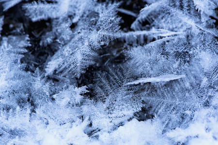 Abstract background with snowflakes - flakes of snowの写真素材