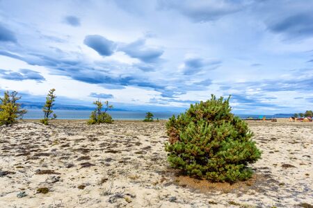 Lake Baikal, tree and mountains of Siberia with beautiful sky and clouds, Russia Oklhon island