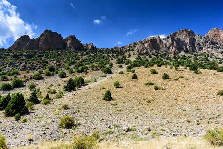 Mountain landscape with trees in the Turkish national Park aladag in summer dayの写真素材