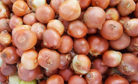 Yellow gold onions crop. Close up backgroundの写真素材