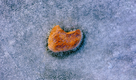 Heart-shaped stone frozen in beautiful textured iceの写真素材