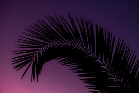 Silhouette Tropical Palm Trees At Sunset, Summer Vacation