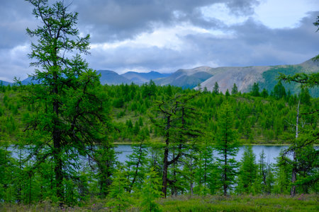 View above river, nature landscape. Buryatia. Siberia.の写真素材