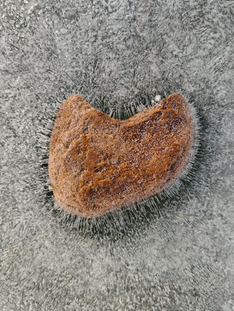 Heart-shaped stone frozen in beautiful textured ice