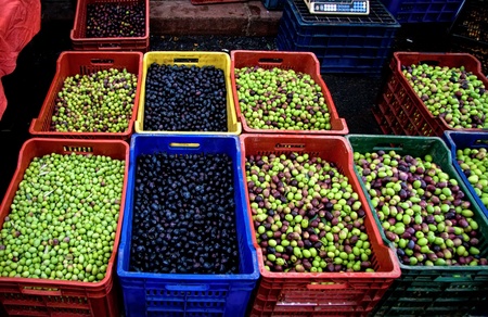 Fresh Organic Black and Green Olives At A Street Market In Istanbul, Turkey.  Carsamba Fatih Pazari (Bazaar)の写真素材