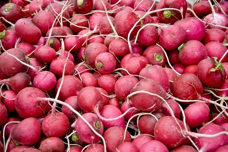 Heap Of Ripe Radish /Turnips At A Street Market In Istanbul, Turkey.  Carsamba Fatih Pazari (Bazaar)