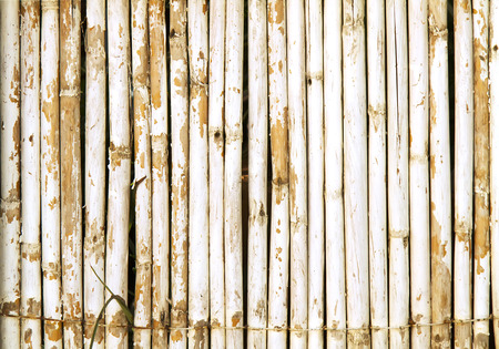 Old Bamboo Wall With Weathered White Paint Background Textureの写真素材