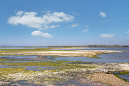 Steppe saline soils, light clouds in the blue sky over the salt lakesの写真素材
