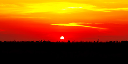 Beautiful sunset, light majestic clouds in the skyの写真素材