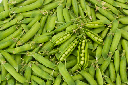 Bright  of green peas pods.の写真素材